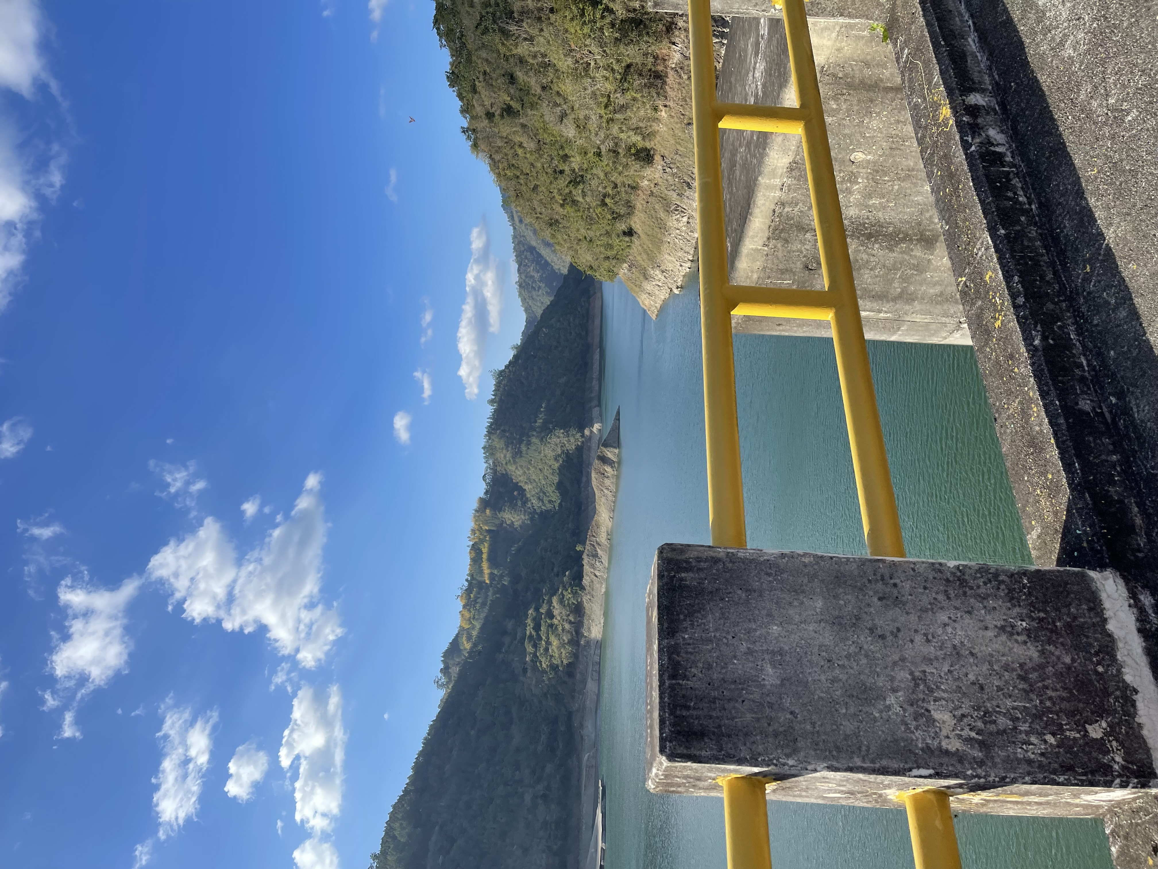 Volunteer Experience